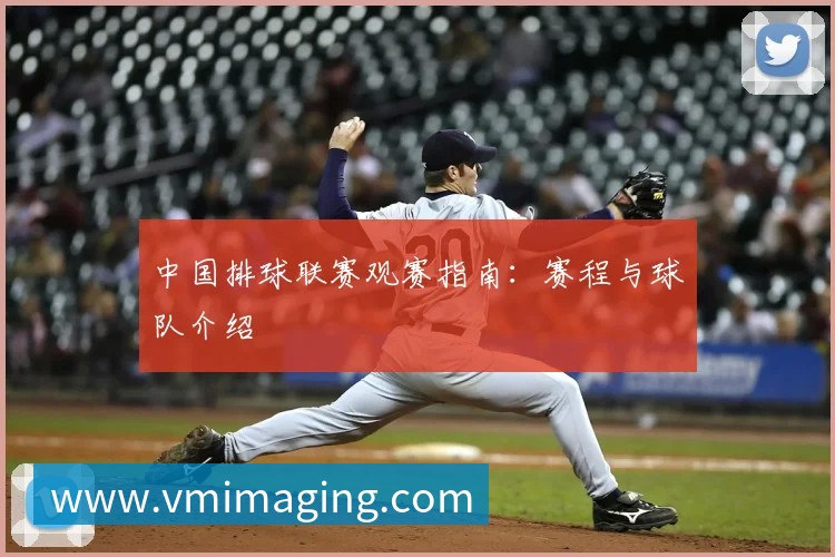 中国排球联赛观赛指南:赛程与球队介绍
