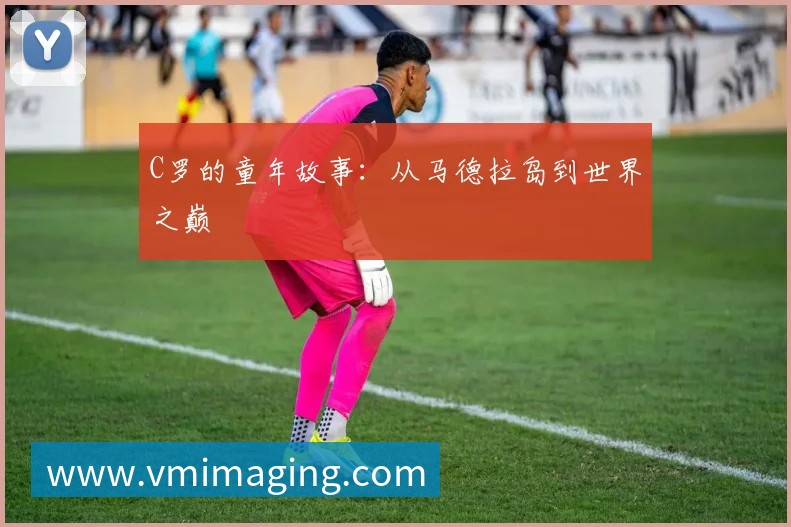 国际足联VAR技术：应用、争议与发展前景