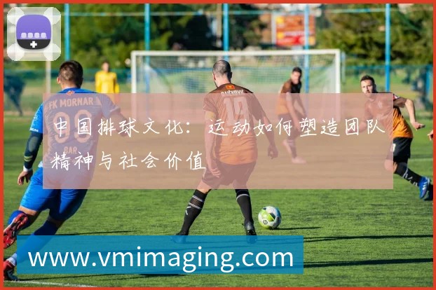 中国排球文化:运动如何塑造团队精神与社会价值