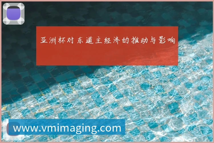 亚洲杯对东道主经济的推动与影响