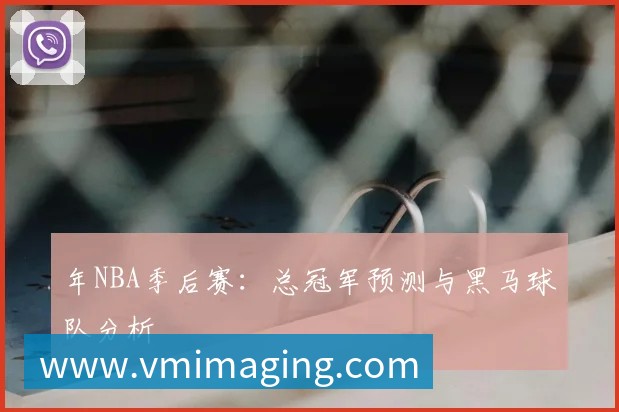 年NBA季后赛:总冠军预测与黑马球队分析