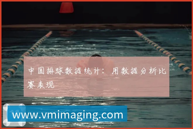 中国排球数据统计:用数据分析比赛表现